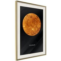 Arkiio Affisch Venus [Poster] 40x60 Poster